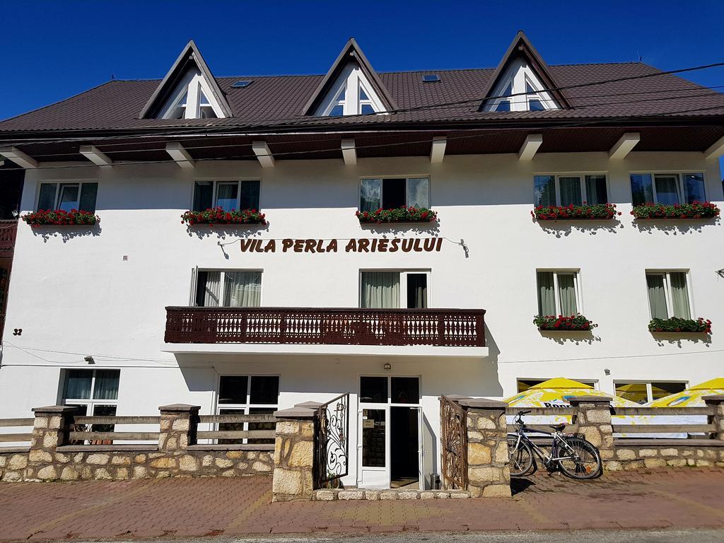 Pensiunea Perla Ariesului Albac Exterior foto