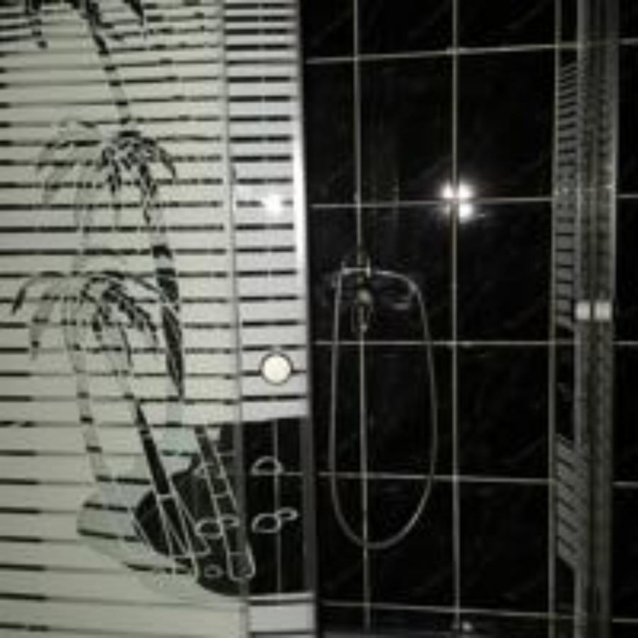 Pensiunea Perla Ariesului Albac Exterior foto